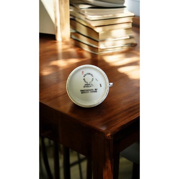 Queen Elizabeth II Coronation Commemorative Salisbury China Cup & Saucer With Go - Picture 4 of 9